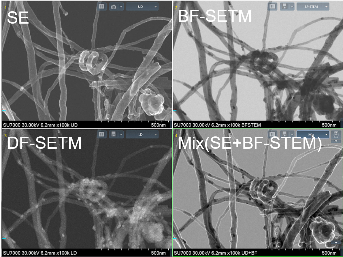 STEM 2