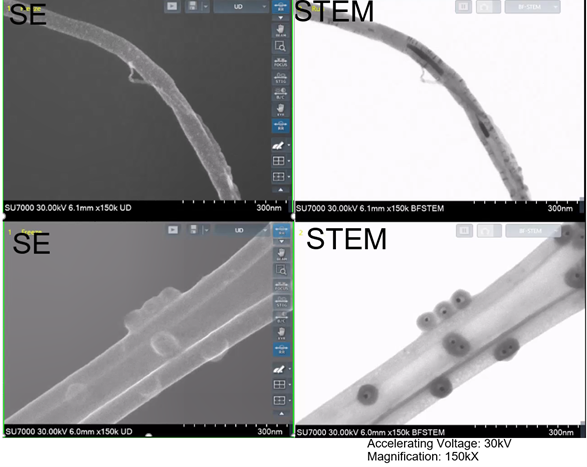 Stem