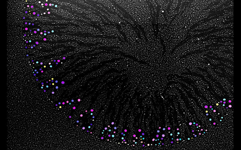 NU Fireworks