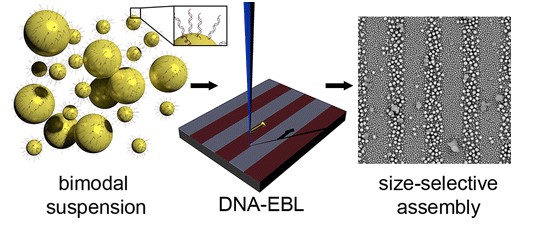 acs nano publication image