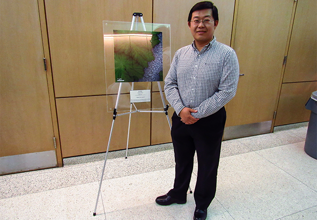 Image Contest Winner - Dr Kai He