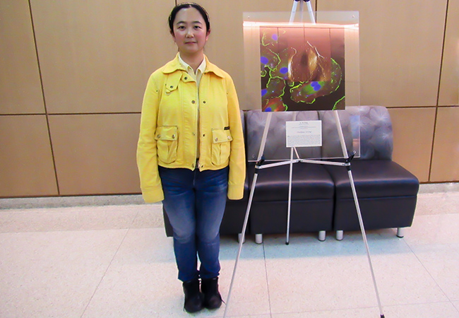 Xin Wang