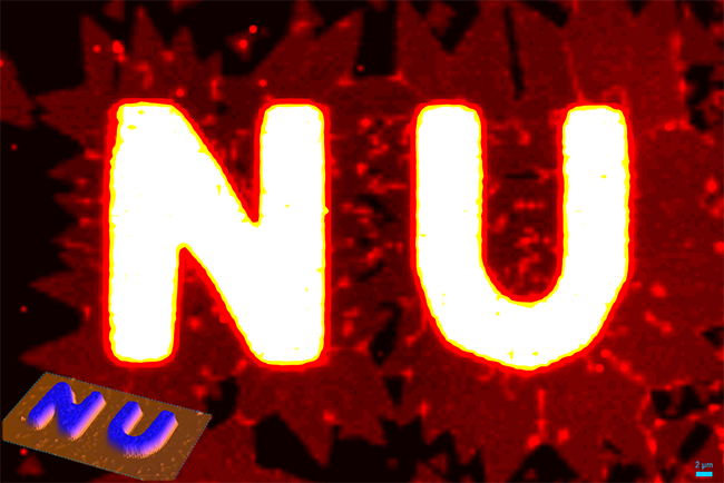 YuanLi.png