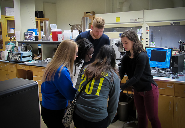 exploring the SEM