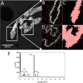 Images from Karl Hujsak paper