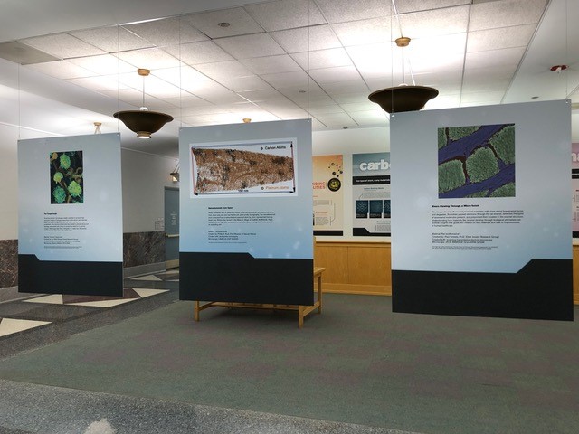 washington library images exhibit