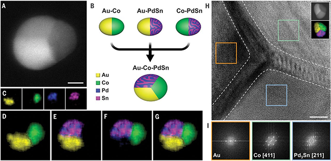 Image from Science Magazine