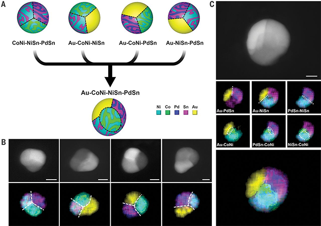 Second image from science magazine