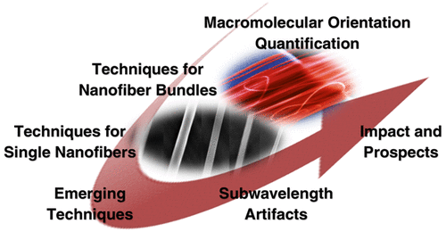 polymer chain