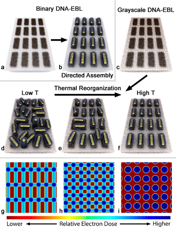 image of greyscale DNA from research paper