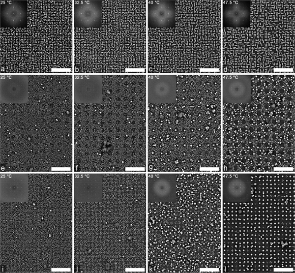 SEM image of grid