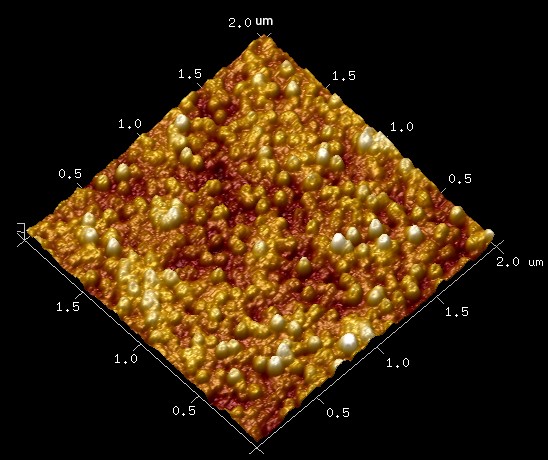 AFM sample