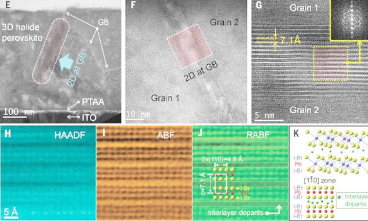 Image for Article in Nature