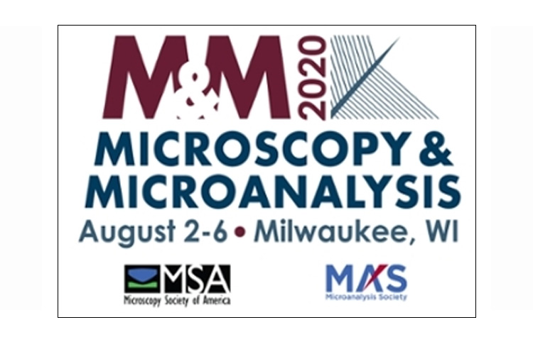 MSA logo