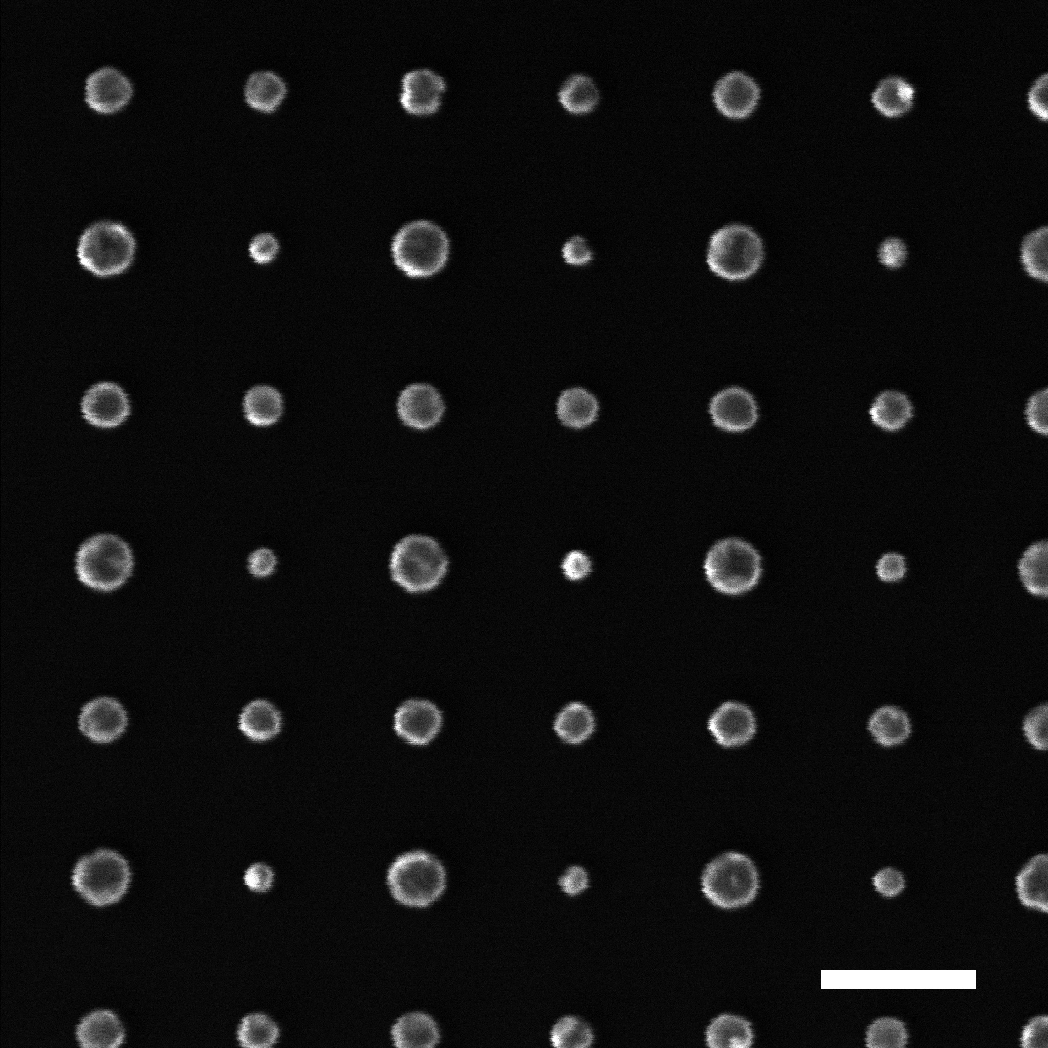 Scanning image