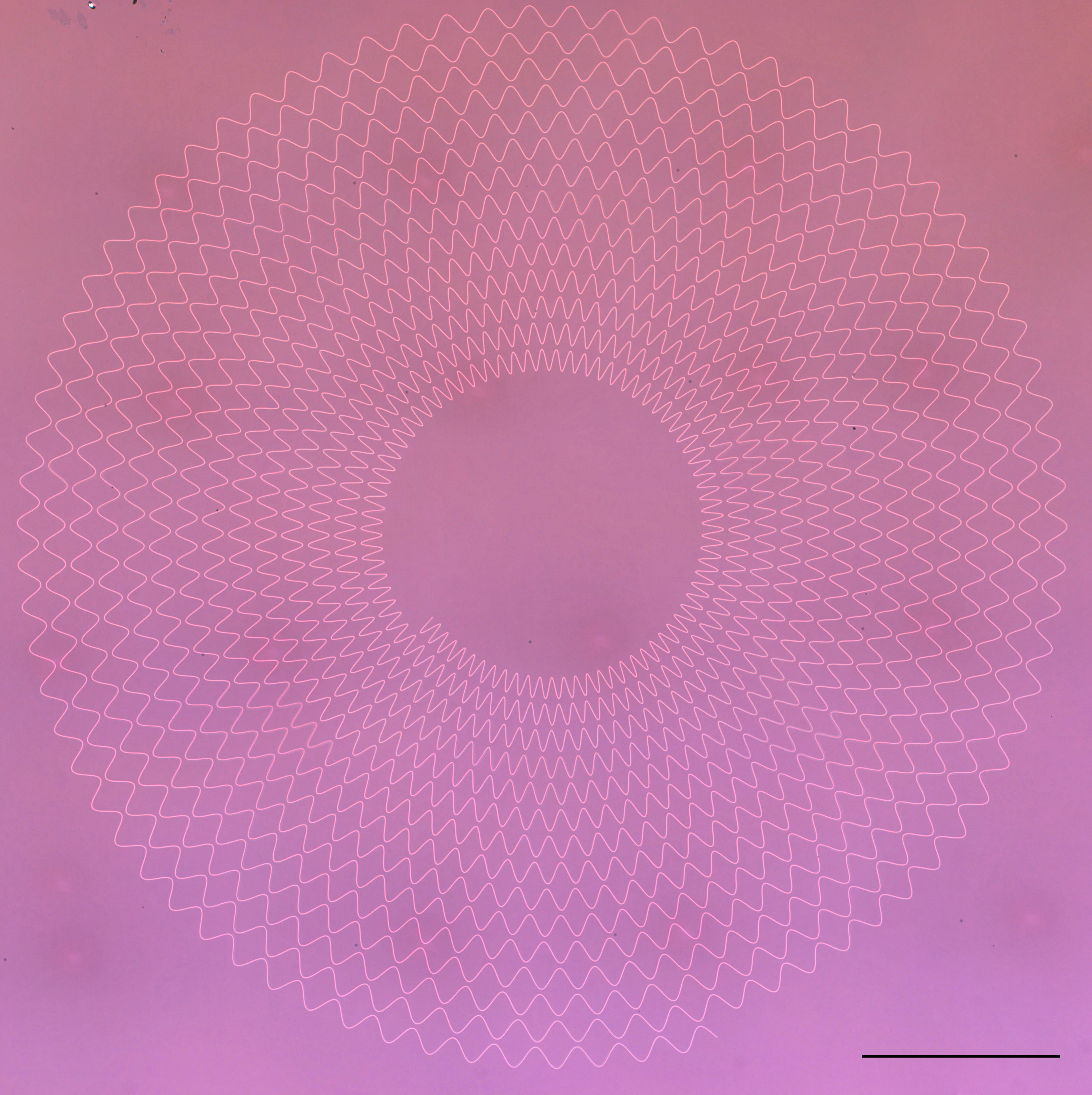 Stitched image from EBL